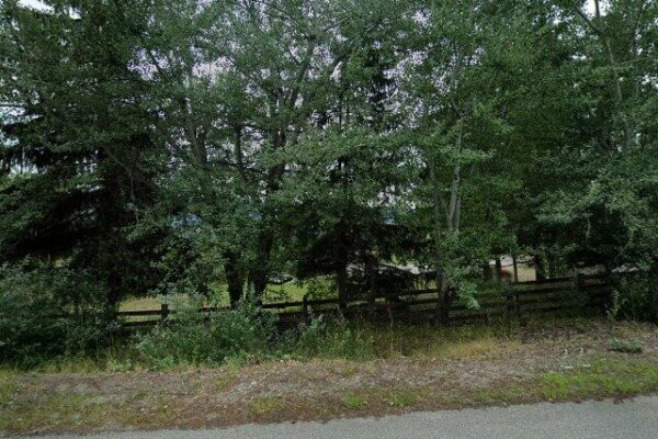 Terravista Vineyards