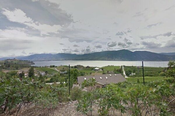 Laughing Stock Vineyards